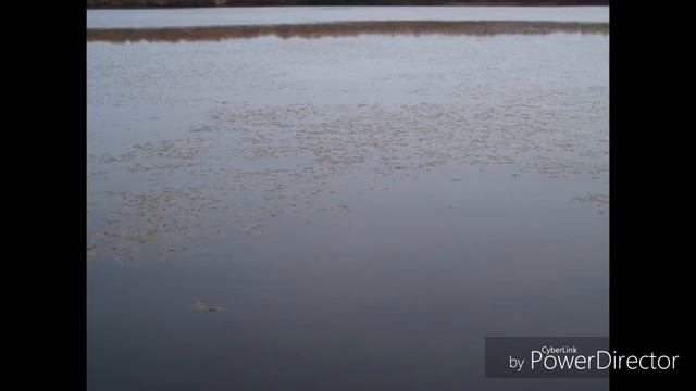 Сопка любви до ремонта. 21 октября 2020 г. смотреть онлайн