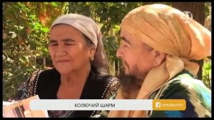 Бородатая женщина не решается сбрить растительность на лице под страхом смерти