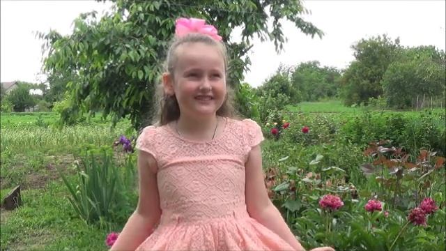 читаем ДЕТСКИЕ СТИХИ О ЛЕТЕ смотреть онлайн