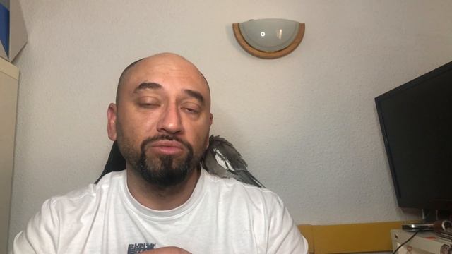 Купить за 1 евро дом в Испании? Это реально, но...