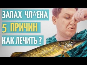 5 причин запаха полового ч*Лена // Что делать