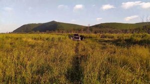 Громкий тыл на компонентах DL Audio. Dl audio phoenix sql 200. Dl audio phoenix neo tweeter v.2