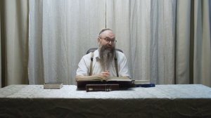 рав Дов-Бер Байтман.  Глава Берешит  Часть 1