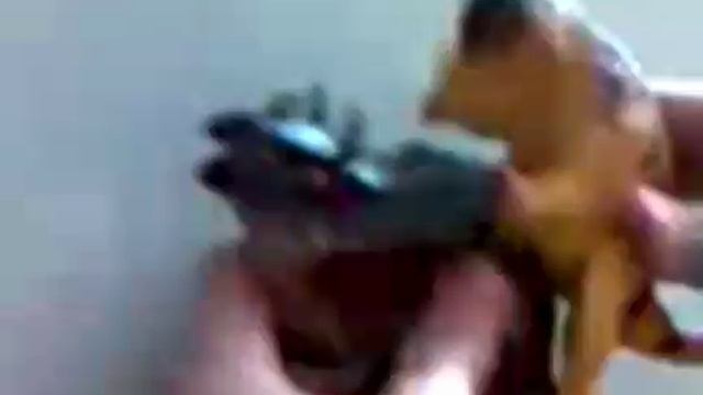 18+?не смотреть дктя