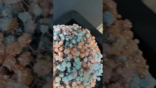 Букет из гипсофилы AZUR (5шт). Букет №26 #доставкацветов #букетыназаказ #гипсофила #flowers смотреть онлайн