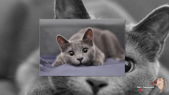 Голодовка смотреть онлайн