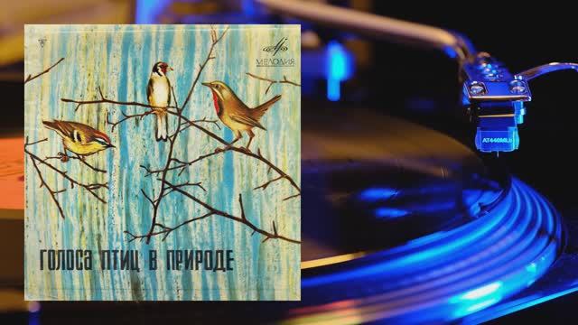 ⚜ Голоса птиц в природе. Записи Б. Вепринцева ⚜ Д-6227-8, 1960