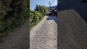 Первый день в Абхазии
. Коротко обо всем