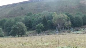 В поселке Лесо-Кяфарь