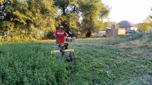 сенокос. люцерна, беде,06.08.2021. мотоблок Huter mk 13000.