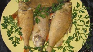 Отварной окунь с укропом