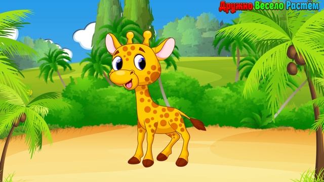 Загадки Детям про Животных - Жираф смотреть онлайн