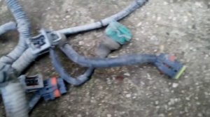 Проводка двигателя Chery Amulet 1.6 88 л.с. A11-3724065BF