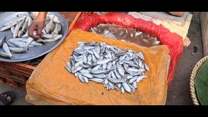 Российскую рыбу можно купить и  в Бангладеш!Зеркальный карп, толстолобик, белый амур.....ПИРАНЬЯ!!!