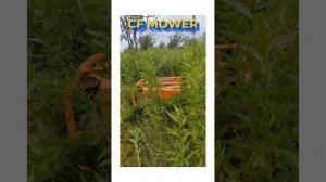 remote control mower 101: everything you wanted to know