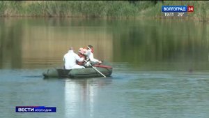 Волгоградские водоемы обрабатывают от мошкары и комаров