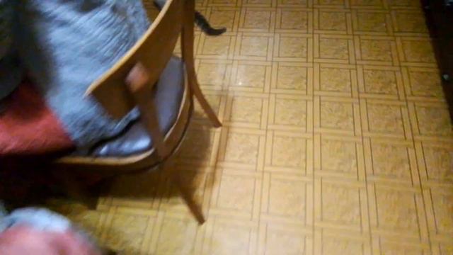 Готовим салат 1 часть смотреть онлайн