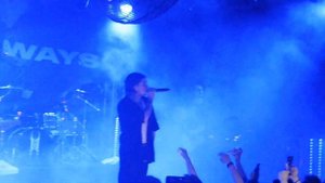 Wildways - Цветы. Новосибирск 14.10.2023