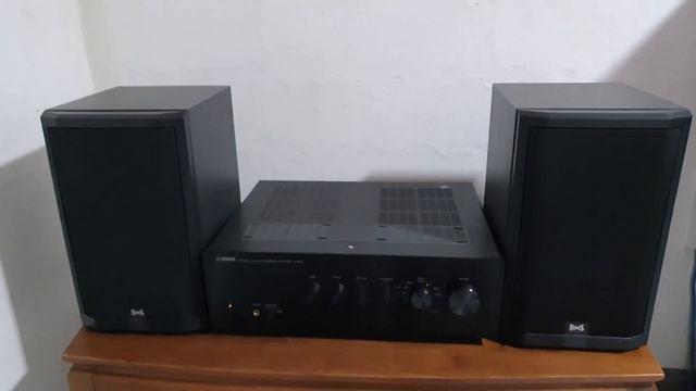 BNS Excellent EX-35 2-Way Audiophile Bookshelf Monitor Speakers with Yamaha A-S501 Amp (Full Demo) смотреть онлайн