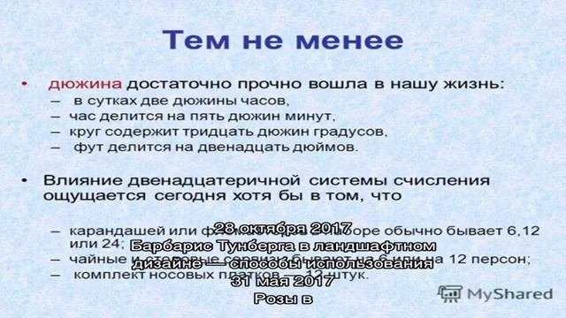 Почвопокровные растения – вашей дачи возрождение