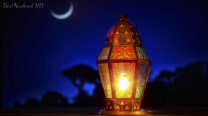 ЛУЧШИЕ НАШИДЫ