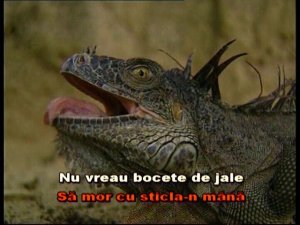 Uite-așa aș vrea să mor. Karaoke