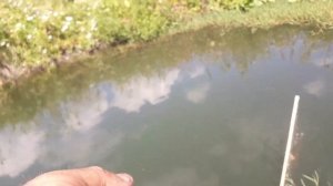 Ловля рыбы на Экран.