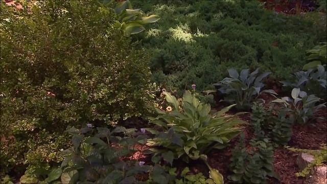 Amazing Perennial Garden, Fairview, USA смотреть онлайн