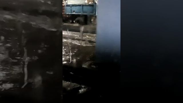 Речная полиция или Зомби апокалипсис