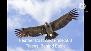 Feather family bird ideas part 4|Feather Family|Roblox