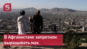 Как может зарабатывать Афганистан после запрета на выращивание мака