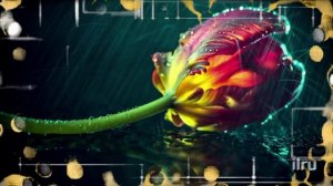 Добрый вечер ! Желаю доброго вечера! Пожелания доброго вечера