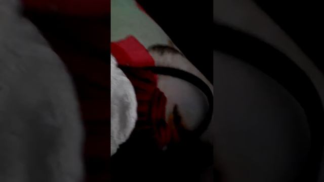 Моя кукла о о ней и што у нее есть смотреть онлайн