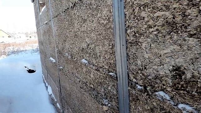 ТРЕШ арболитМонолитЗа 40тыс.ФундаментИзАрболита.ТеплыеСтеныБезУтеплителя. Arbolit In Russia
