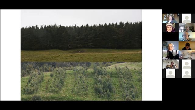 Agroforestry: Tips for making trees work on upland farms смотреть онлайн