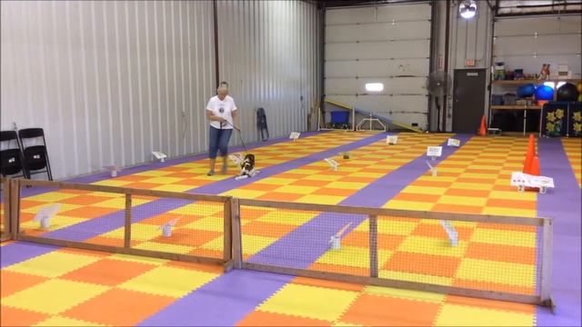 Gibson L1 ~ C1 смотреть онлайн