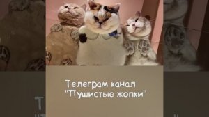 Подпишись.