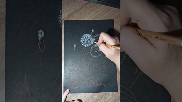 Одуванчики нарисованные пастелью на черной бумаге. смотреть онлайн