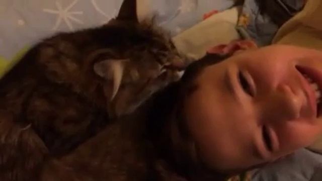 Барсик и Саша смотреть онлайн