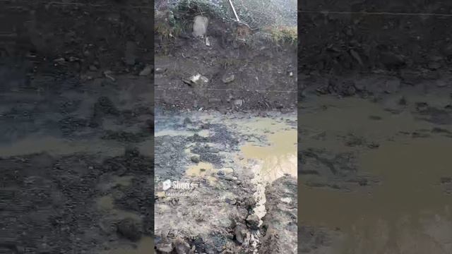 Лайфхак при заливке бетона #михаилафанасьев #строительствосочи