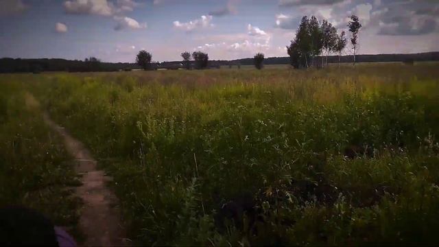 МАЛИНОВЫЙ ПОХОД 2 часть смотреть онлайн