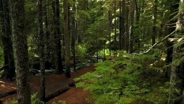 Гарри Поттер и Философский камень смотреть онлайн