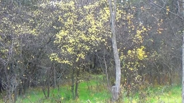 АНАПА. ХРАМ СВЯТОЙ ВАРВАРЫ. ( с.Варваровка )