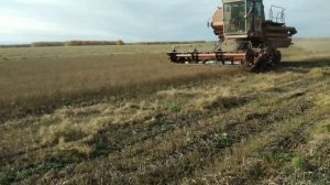 Уборка льна 11.10.2021. СК 5 Нива & Енисей 1200
