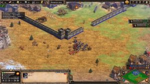 Викинги — обзор нации и гайд. Стратегия Age of Empires 2