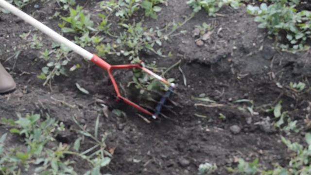 Культиватор ручной. Супер вещь. Видео работы