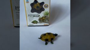 Черепаха на пульте управления