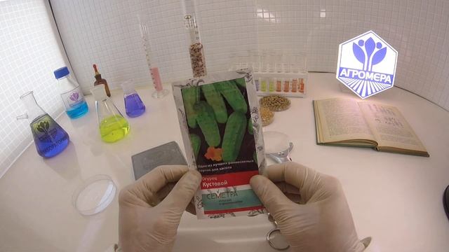 Огурец Кустовой. (Семетра)Поиск смотреть онлайн