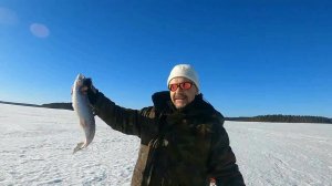 Сегозеро. Три дня рыбалки и отдыха. Хариус, форель