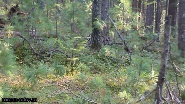 На перевале в Слюдянку смотреть онлайн